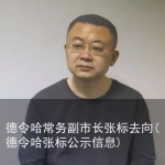 德令哈常务副市长张标去向(德令哈张标公示信息)