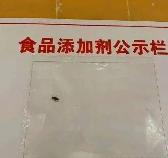 禁止 变性合法的国家公民收养俄罗斯儿童；野猪冲入家中咬人，当场死亡……
