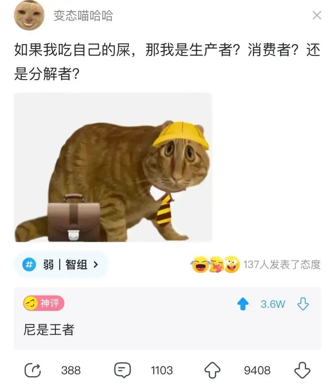 禁止 变性合法的国家公民收养俄罗斯儿童；野猪冲入家中咬人，当场死亡……