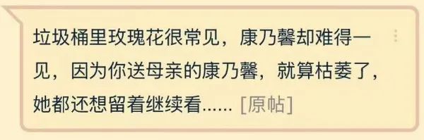 禁止 变性合法的国家公民收养俄罗斯儿童；野猪冲入家中咬人，当场死亡……