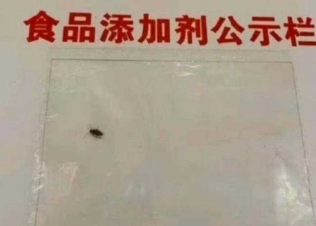 90后女干部被曝出轨同事：放心，我上了节育环还有体检报告
