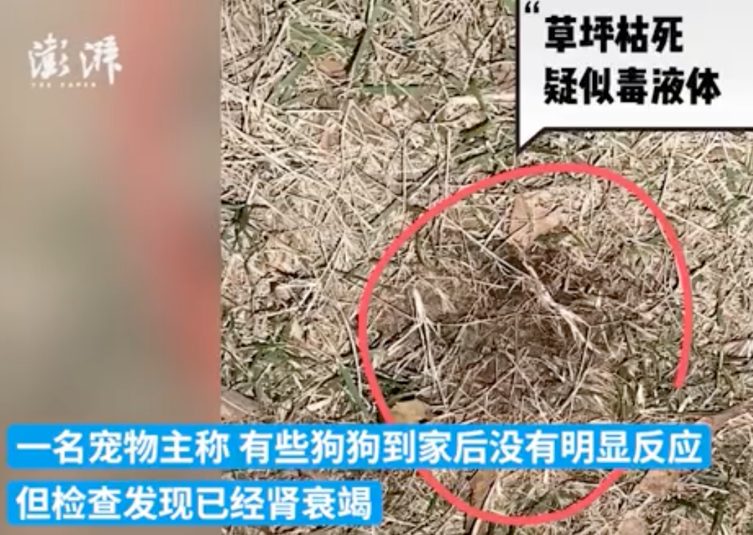 “信不信我下次还动刀，不就是拘留10天？”