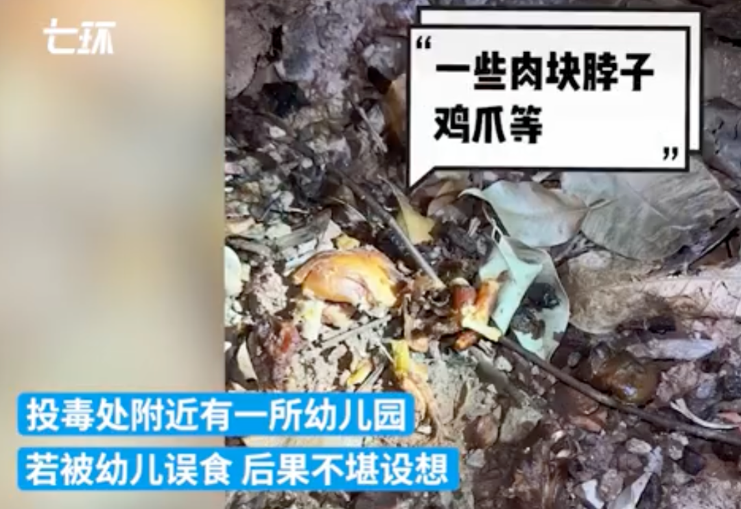 “信不信我下次还动刀，不就是拘留10天？”