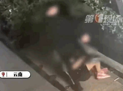 太原连夜拆除仿真椰子树、成都花12亿建会议中心…都挺会过日子啊