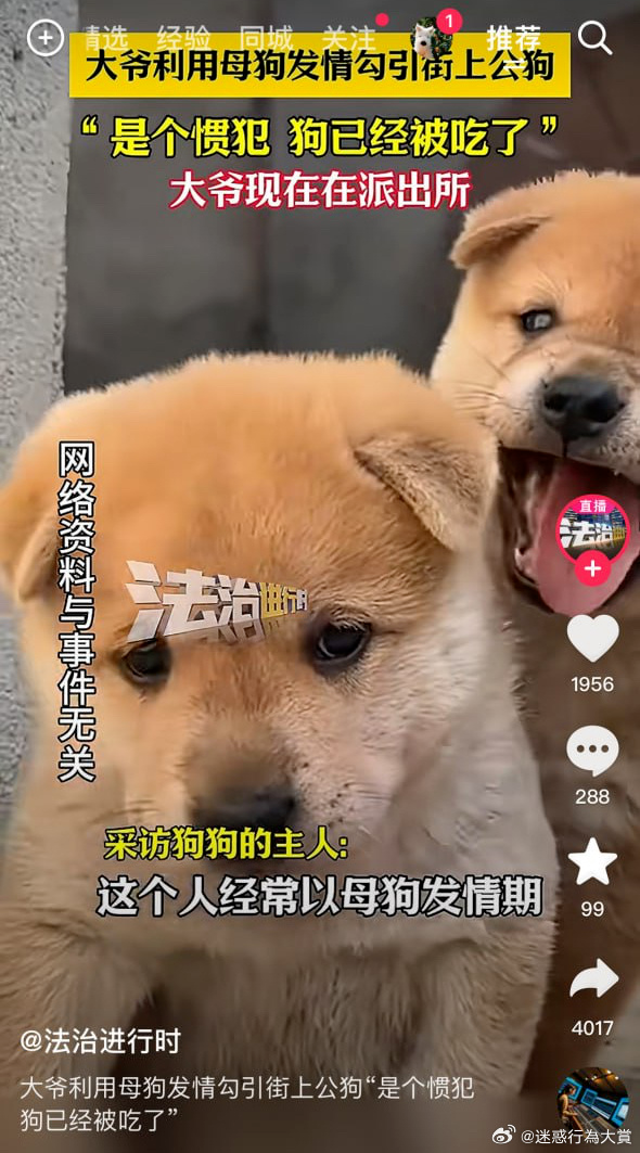 大案窝案？高中学生会干部集体受贿，交300才还同学手机