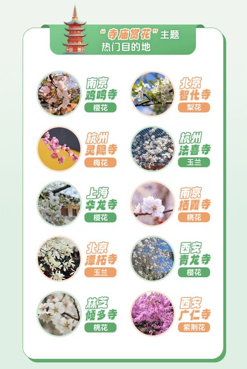 51黑瓜吃料网入口