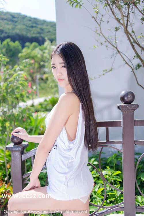 揭秘台湾黑料吃瓜网站，揭秘娱乐圈背后的真相