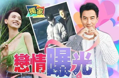 揭秘台湾黑料吃瓜网站，揭秘娱乐圈背后的真相
