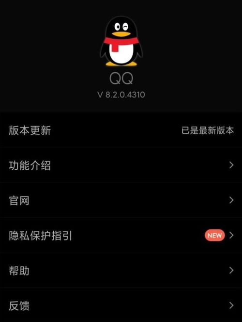 黑瓜吃料网iOS下载——解锁美食资讯的便捷之门