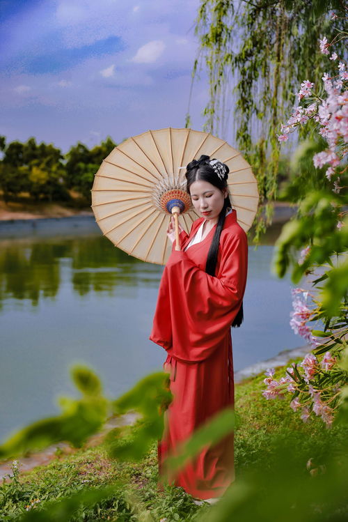 青青河边草免费观看西瓜