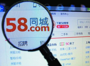 您的本地生活服务平台