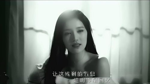 最新免费MV在线观看平台盘点，精彩视听盛宴等你来享