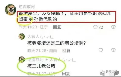 000635张津的实用建议