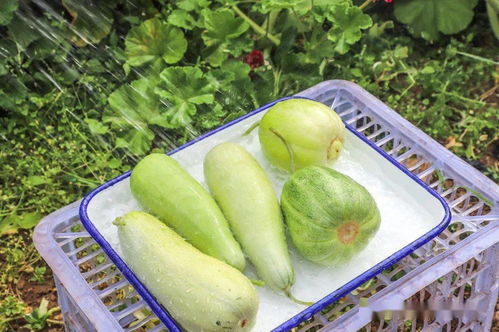 热门事件盘点