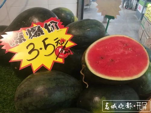 探索629黑瓜吃料网——您的美食探索之旅从这里开始