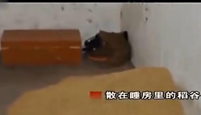 女子伙同丈夫杀害情夫一家__女子丈夫