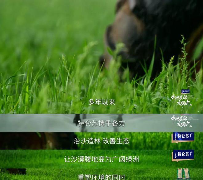 _当我在追《牛奶是部文明史》	，更懂特仑苏的格局从何而来_当我在追《牛奶是部文明史》，更懂特仑苏的格局从何而来