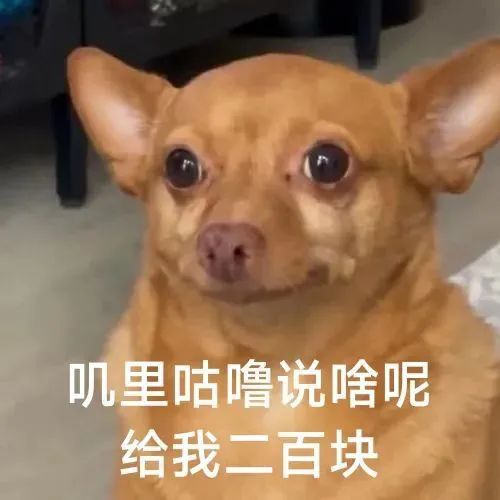 女生应聘被要求视频看腿！网友：看腿力够不够踩刹车？公司回应涉事人员已开除，完全是其个人爱好！