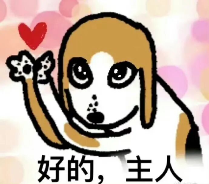 狗头萝莉吐槽网友太严格，如果当初自己真M，现在得有千万存款，可自己不是那种人，如今又穷还被骂！