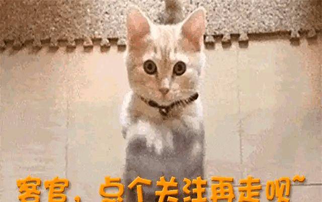白鹿风波升级,圈内人曝发十万红包收买群众