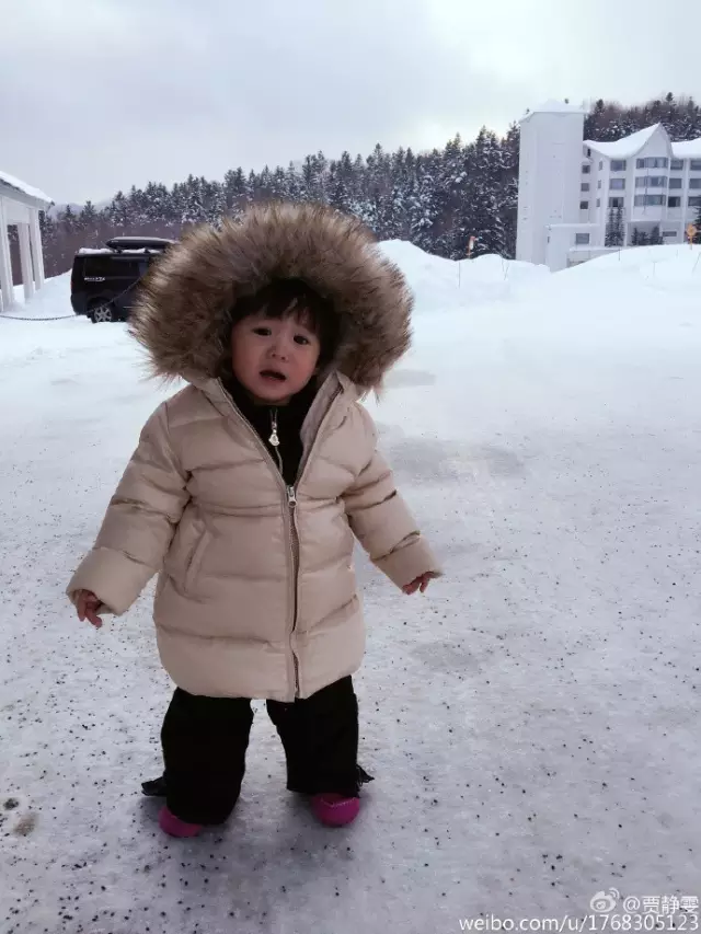 贾静雯下月生三胎 曾为争梧桐妹开撕前夫