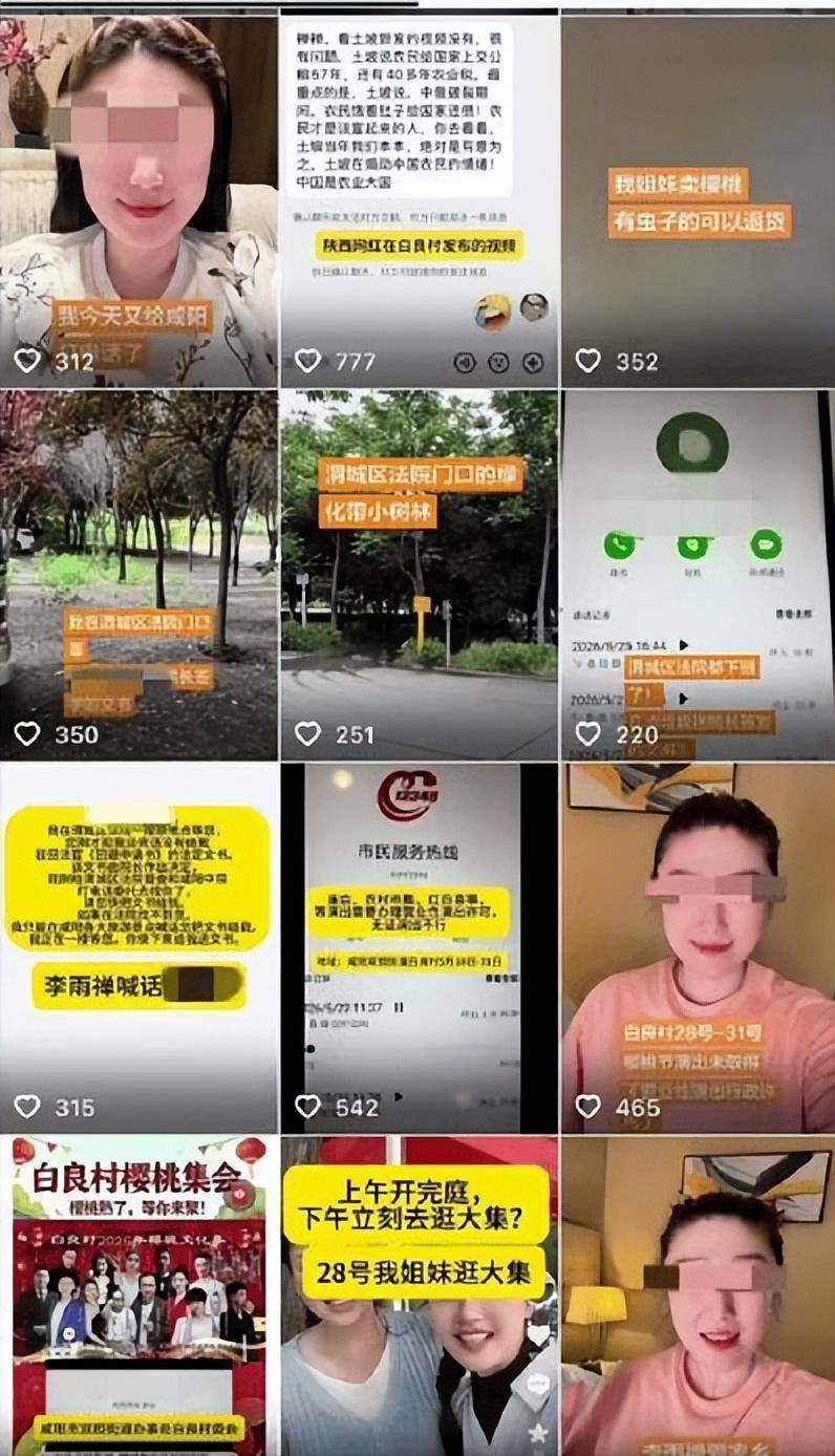 李雨禅造谣樱桃被刑拘,果农民事追责