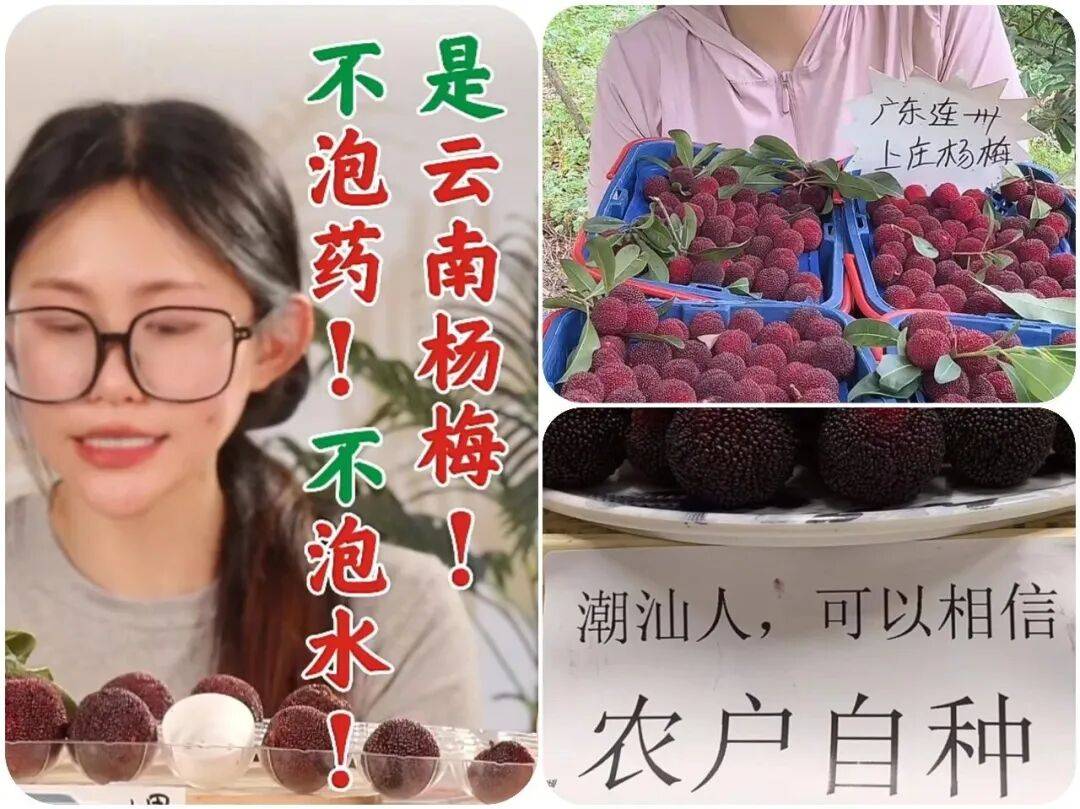 又一网红水果塌房消费者却无力心疼果农了