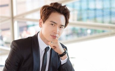 高云翔悉尼涉性侵被捕 与董璇分居